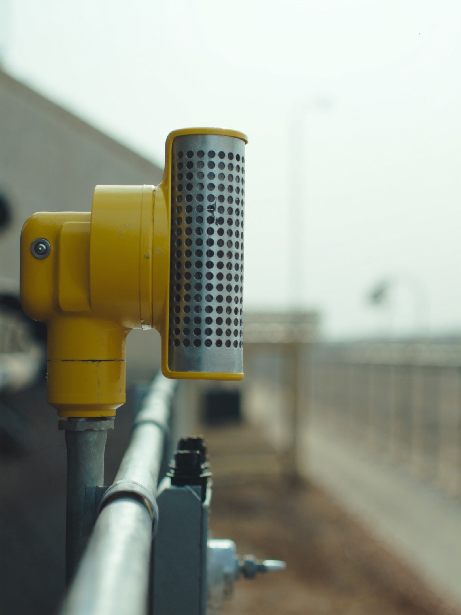 Gas detector head mounted in a process plant